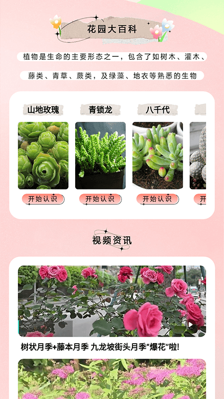 万物识图大师app