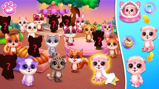 Cute pet care house