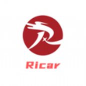 Ricar绝壁悬崖游戏