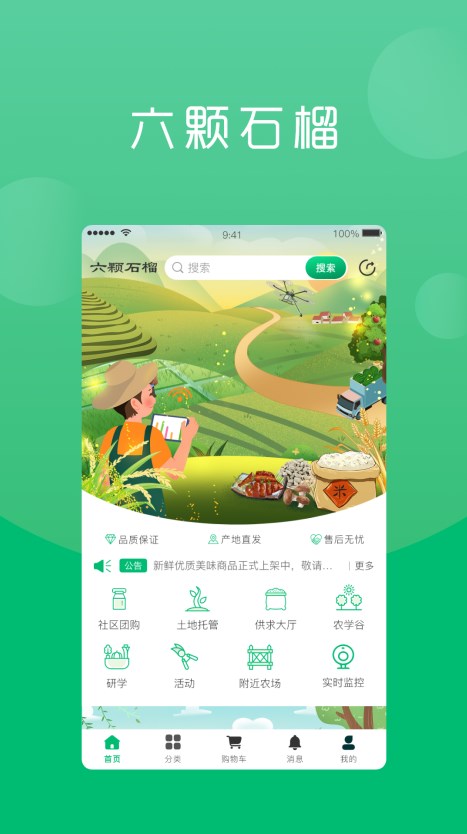 六棵石榴app