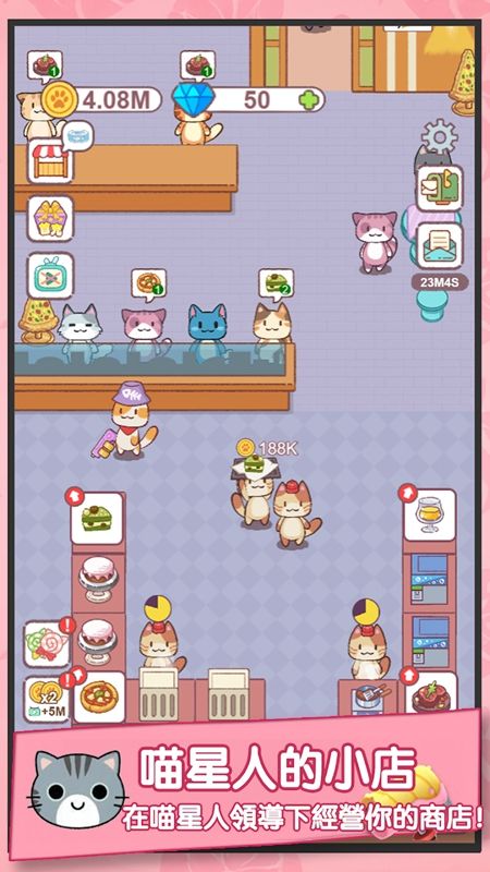 Cat as store manager game