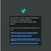 Studio Bot