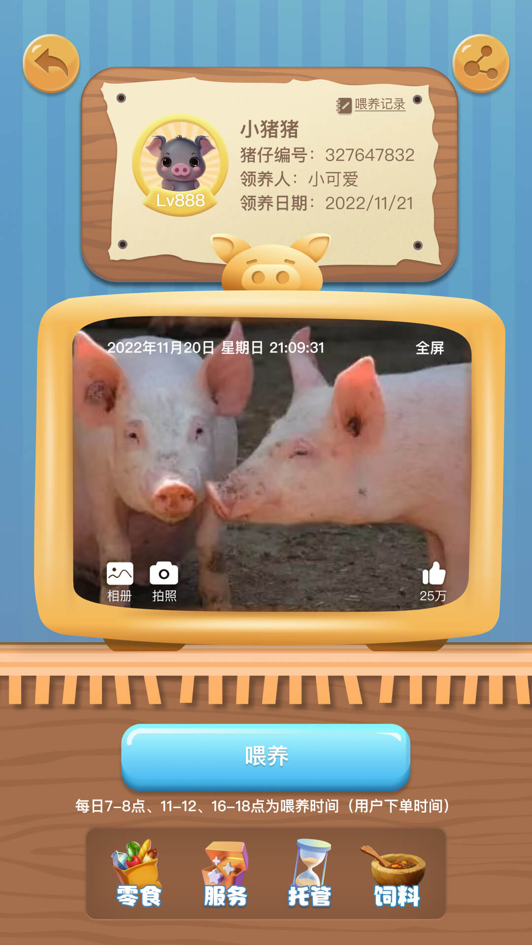 My pig farm game