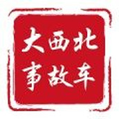 大西北事故车app