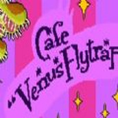 Flytrap Cafe Installation