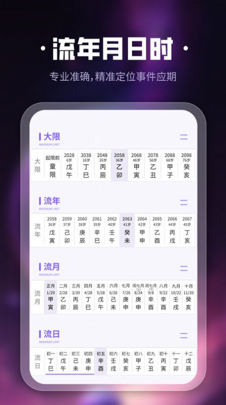 吉真紫微斗数app