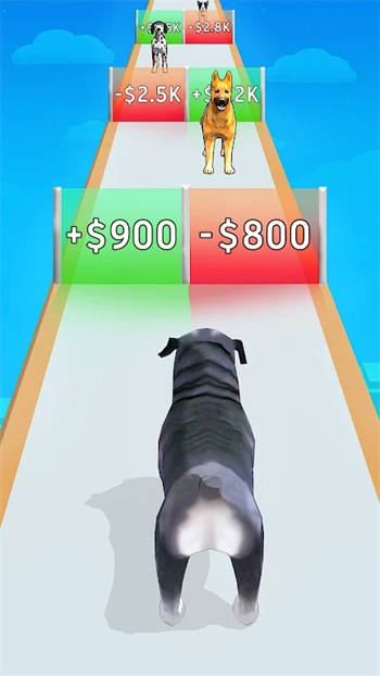 Dog Evolution Parkour Game