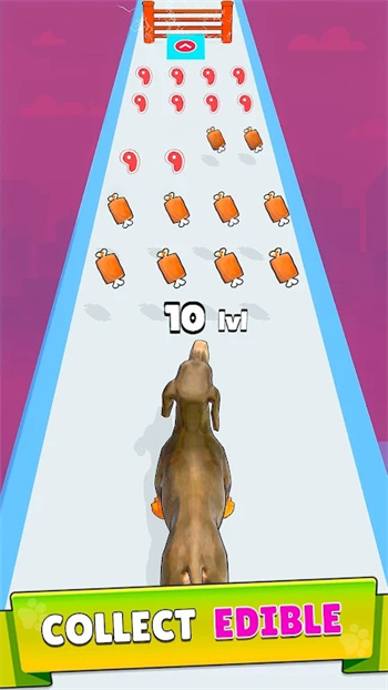 Dog Evolution Parkour Game