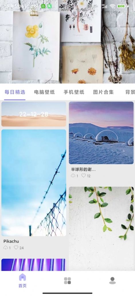 派上壁纸app