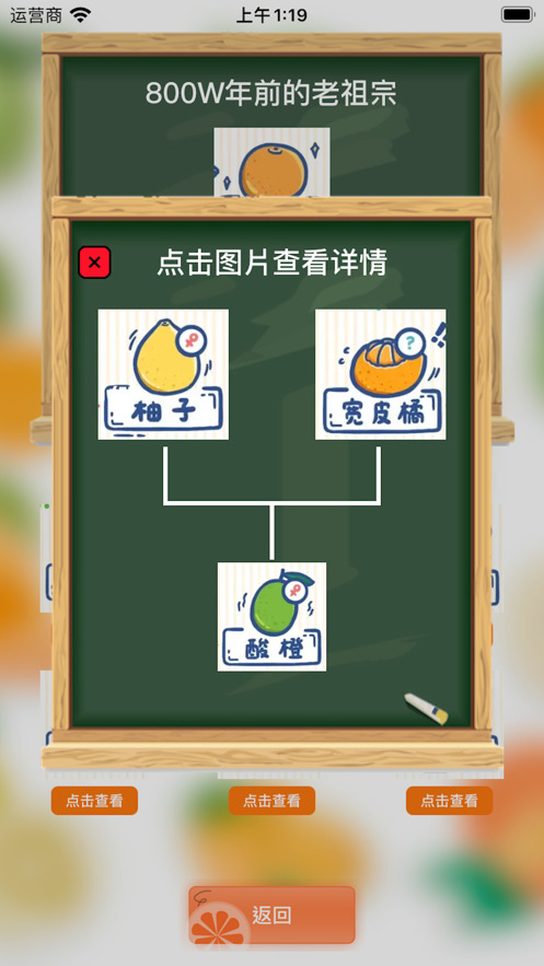 柑橘家族app