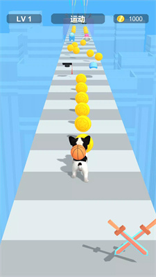 Dress Up Pet Parkour Game