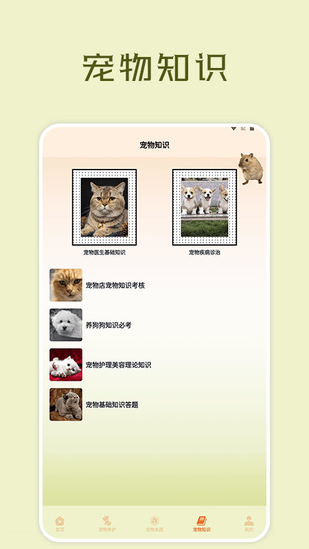 Application Boîte de widgets pour animaux de compagnie