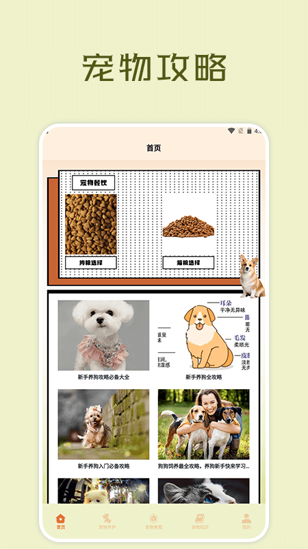 Application Boîte de widgets pour animaux de compagnie