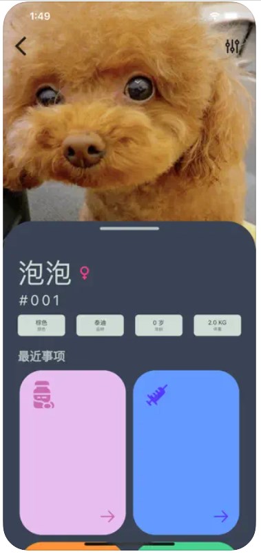 爱宠小派app