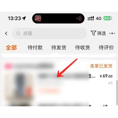 Como visualizar instantâneos de transações no Taobao móvel