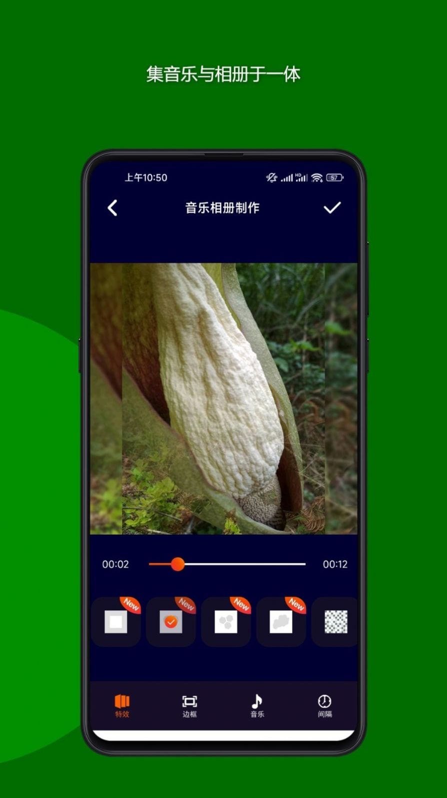 魔法音乐相册app