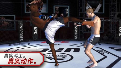 UFC-Fighter-Spiel herunterladen