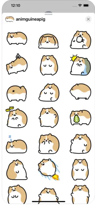 Anime Guinea Pig Sticker Software Free Version