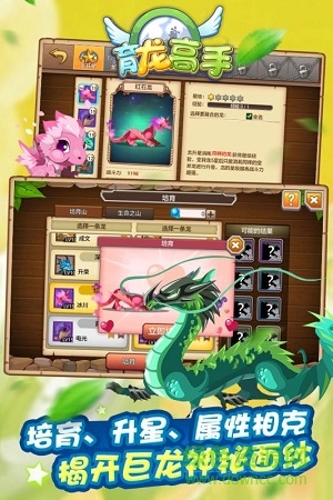 Dragon Breeding Master Nine Games Edition