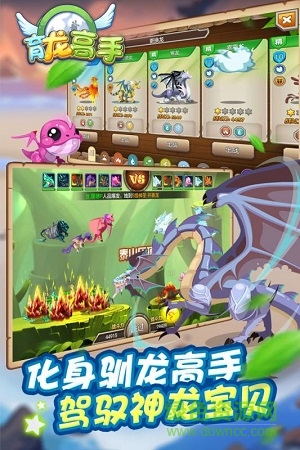 Dragon Breeding Master Nine Games Edition