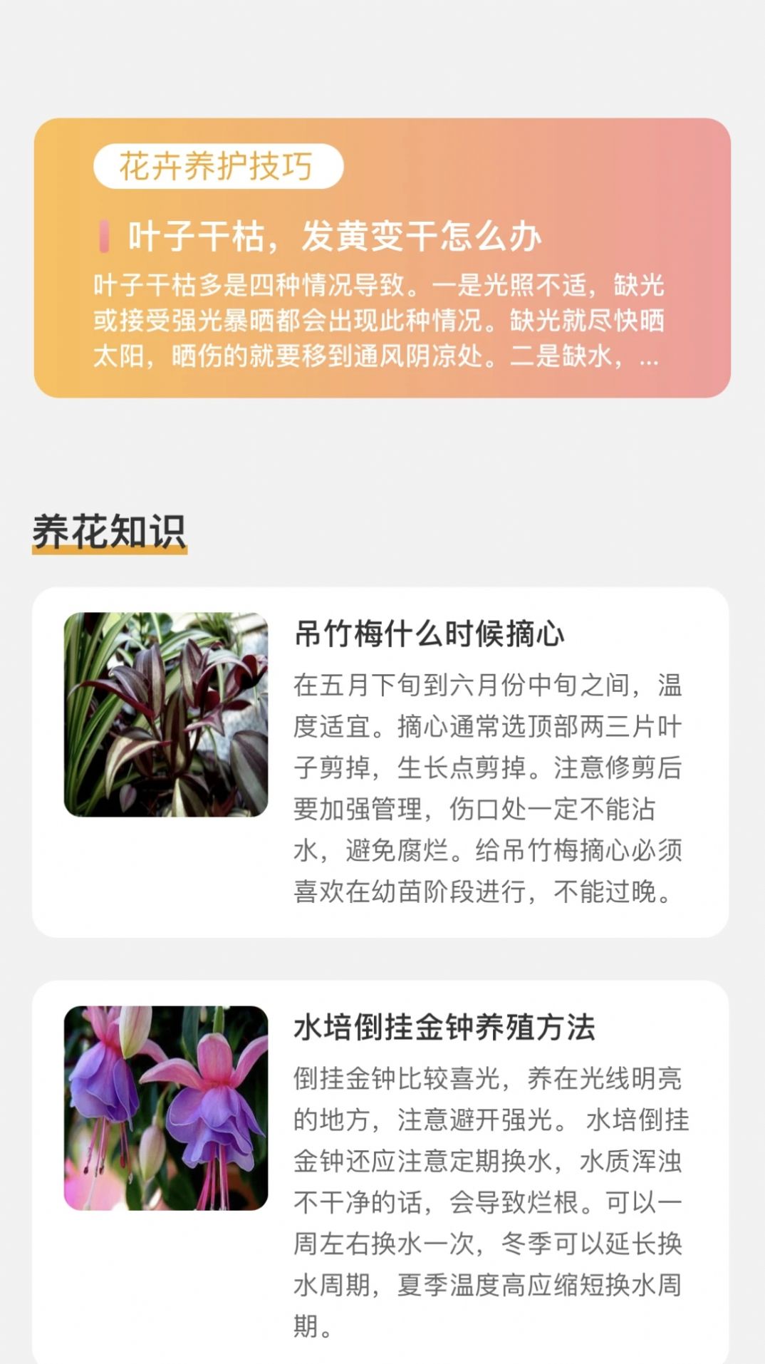 百花悦看花草百科软件