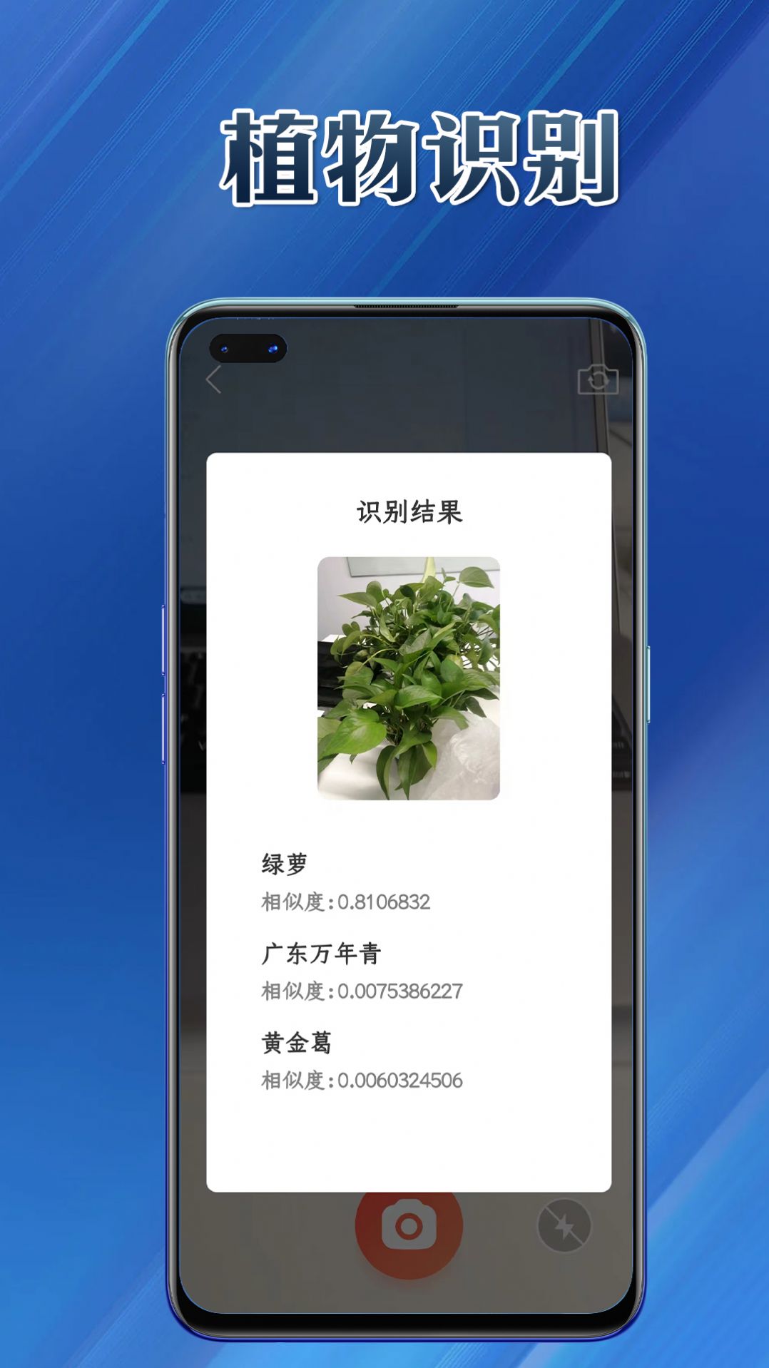 提效大师app