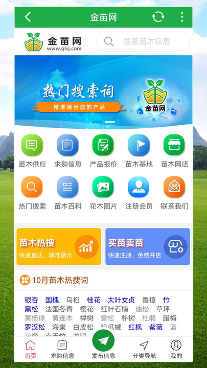 Jinmiao.com seedling information