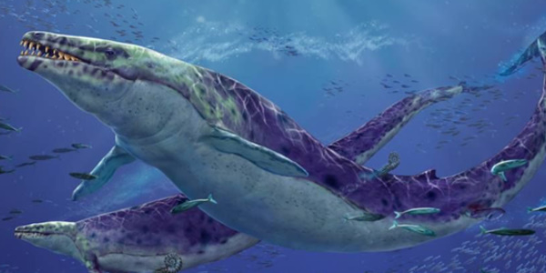 Como domar o Basilosaurus em Ark Survival Evolved