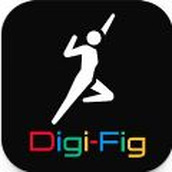 Digi Fig游戏