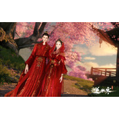 Where is the marriage NPC in Ni Shui Han mobile game?