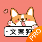 文案伴侣app