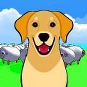 Advertising free genuine sheep herding puppy