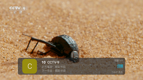 芸汐TV修改版软件免费