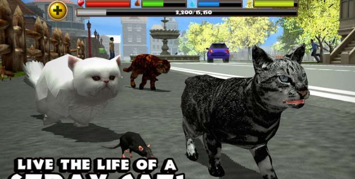 Juego de simulación de gato callejero en versión china.