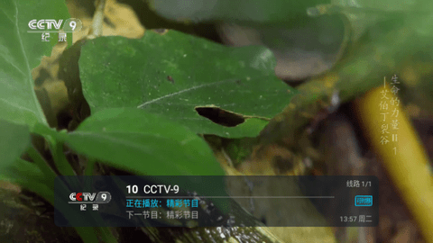 瑶瑶TV电视盒子