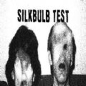 silkbulb test游戏手机版