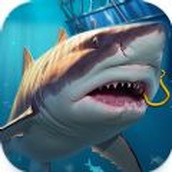 钓鱼冲突狂野中文版（Fishing Clash Wild）