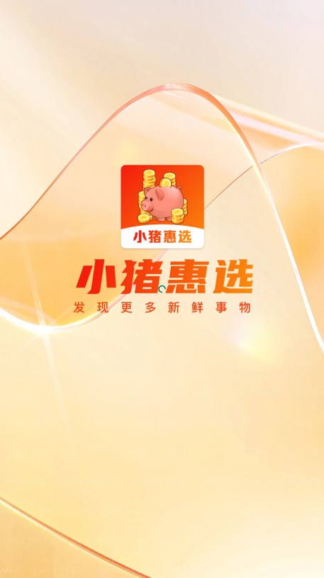 小猪惠选正版软件