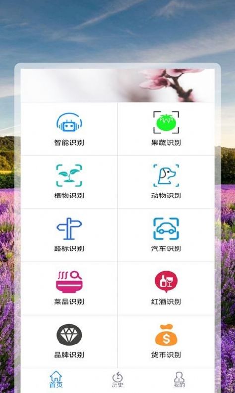 Aplicativo assistente multifuncional para tirar fotos e reconhecer flores