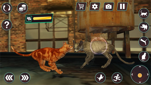 Version mobile du simulateur de guerre de combat de chats