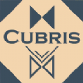 方块覆盖游戏（Cubris）