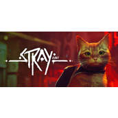 Stray