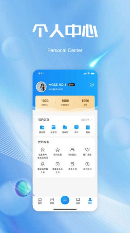 Magshengsheng e-commerce software