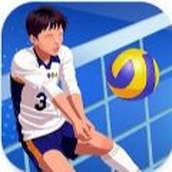 排球竞技场全明星最新版（Volleyball Arena All Star）