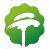 tree language app