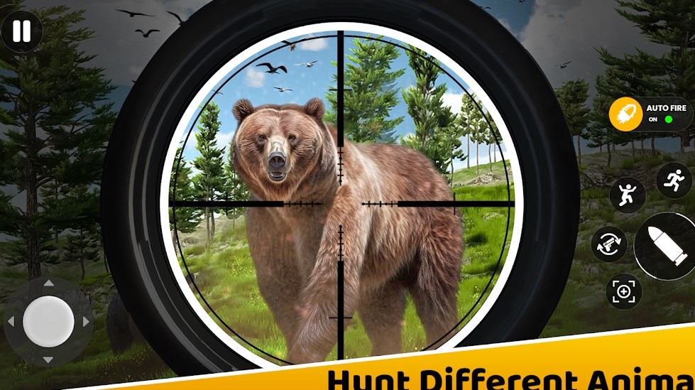 Hunting Clash Contest Game