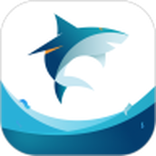 Application Nuage de requin