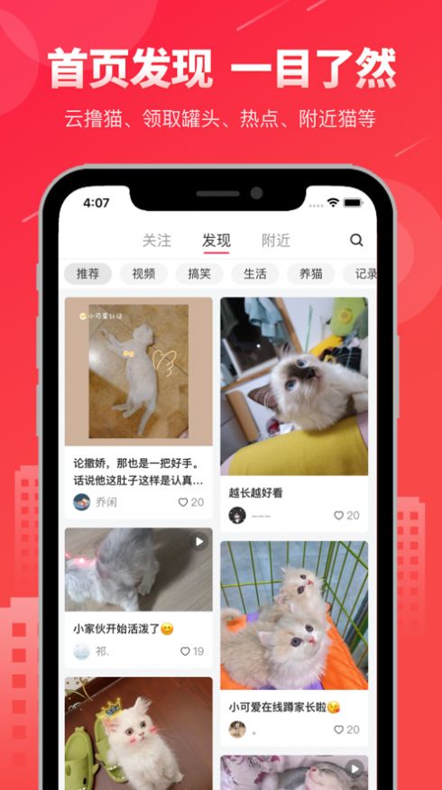 宠友社区app