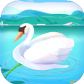 blue swan app