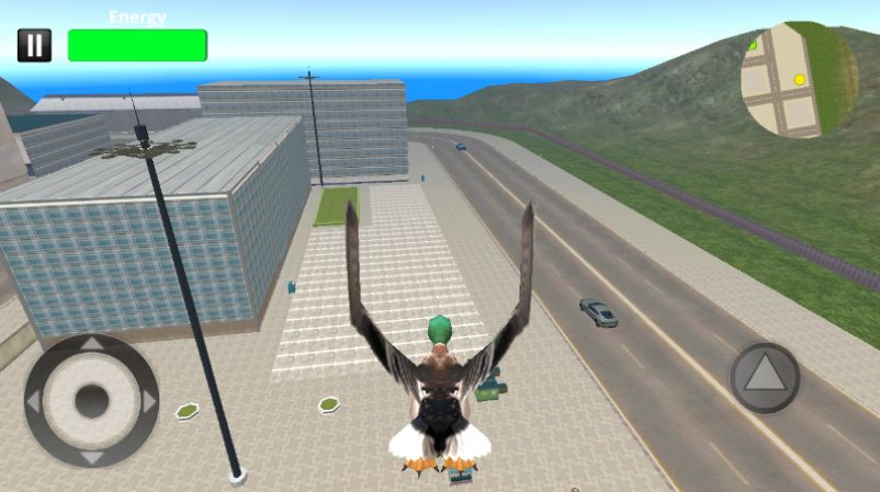 Bird Simulator Game